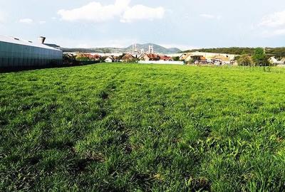 Teren de 12000 mp, în Ierbuș - 10