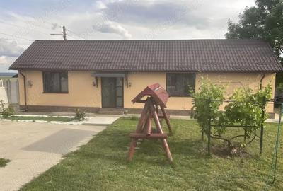 Casă cu 2 camere cu Teren 850 Mp în Central - 8