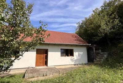 Casă cu 2 camere cu Teren 1500 Mp în Valea Lungă - 3