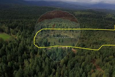 Teren agricol extravilan de 68607 mp, în Călățele - 4