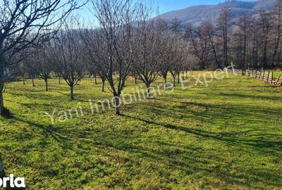 Teren de 4166 mp, în Corbi - 1