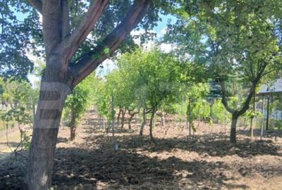 Casă cu 2 camere cu Teren 799 Mp în Central - 9