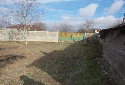 Teren Central Vulturu - 3