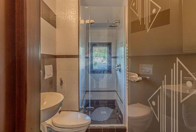 Casa de vacanta sau investitie turistica in Gresu - langa Lepsa - 11