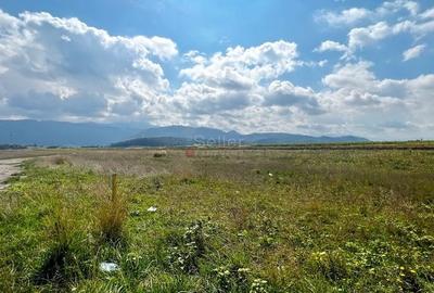 Teren Construcții intravilan de 18134 mp, în Ghimbav Livadă - 3