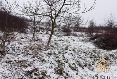 Teren intravilan de vanzare in zona Gheorghe Doja-Oradea - 3