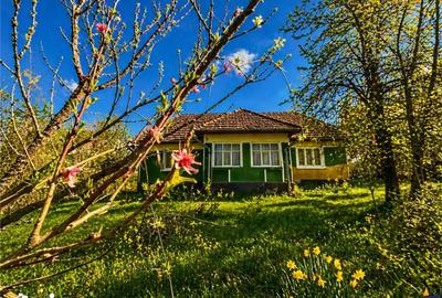 Casă cu 2 camere cu Teren 3400 Mp în Acățari - 4