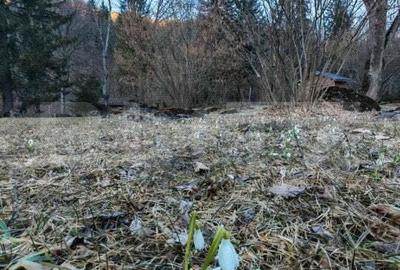 Casa de vacanta de vanzare in Rasnov - Brasov - 6