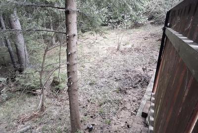 Teren de 500 mp, în Băișoara - 3