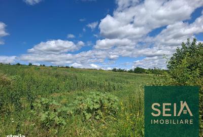 Teren de 2000 mp, în Hemeiuș - 1