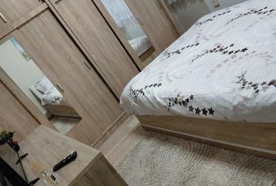 Ocazie!!! Ap 2 cam amenajat lux Micalaca Supeco langa faleza Mures - 7