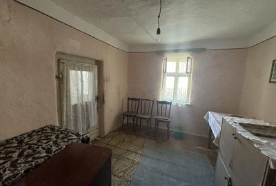 Casă de vânzare in Tisa Nouă, teren generos - 23