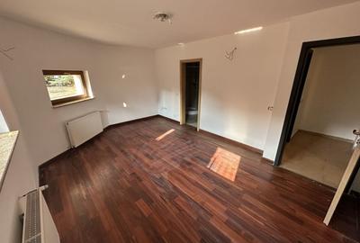 Proprietate cu piscina Dumbravita - 45