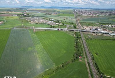 Teren de 28089 mp, în Micălaca - 6