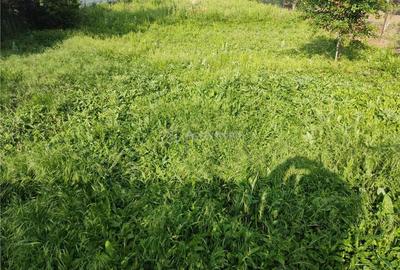 Teren de 850 mp, în Mihăilești