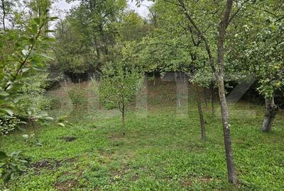 Casă individuală cu 5 camere cu Teren 1600 Mp în Exterior Vest - 7