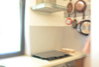 Vila de vacanta situata in Predeal-Cioplea - 6