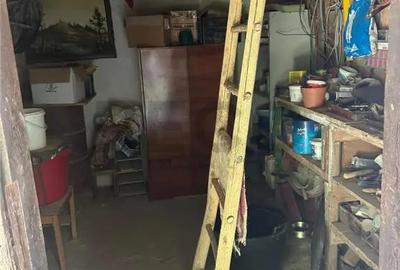 Casă cu 3 camere cu Teren 3300 Mp în Felcheriu - 5