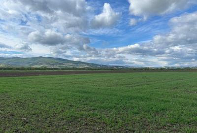Teren agricol intravilan de 1600 mp, în Oarda - 1