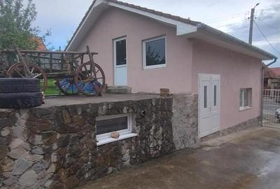 RECO Casa 9 camere, Hotar - 4