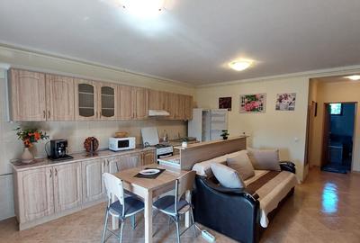 Chirie apartament 2 camere bloc nou in carpati 2 satu mare - 3