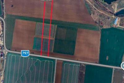 Teren agricol extravilan de 6800 mp, în Sântandrei - 1