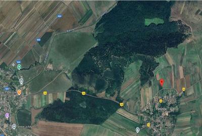 Teren de 2218 mp, în Rogova - 1