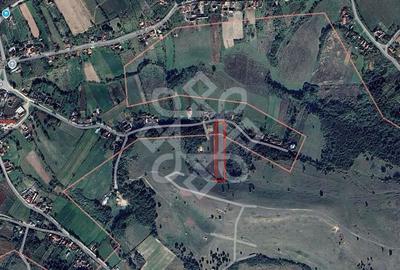 Teren intravilan 5995 mp de vanzare in Hidiselu de Sus - 7
