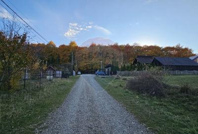 Teren intravilan 1,450mp Ilisesti / DN 17-Suceava - 20