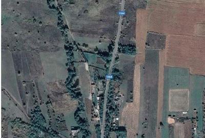 Teren extravilan pasune Ardeoani, ID: R2404613 - 2