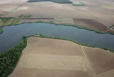 Teren de 300000 mp, în Bulbucata - 3