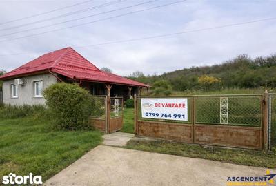 Casă cu 3 camere cu Teren 2700 Mp în Sânpaul - 1