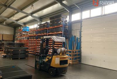 Spațiu industrial, de 500 mp, în Torontalului - 3