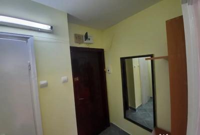 Apartament cu 2 camere decomandat, mobilat în Tudor Vladimirescu - 17
