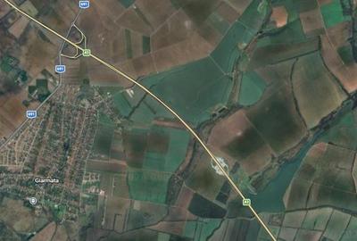 Teren agricol extravilan de 150000 mp, în Giarmata - 1