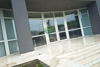 Hala Otopeni zona pasaj DNCB  Lukoil BMW - 2