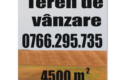 Spațiu comercial, în Teasc - 2