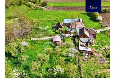 Teren agricol intravilan de 725 mp, în Alma - 4