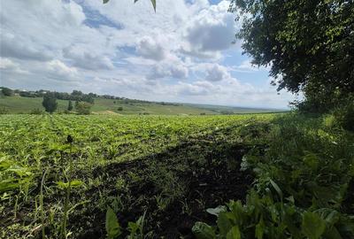 Teren intravilan de 2000 mp, în Moara Nica - 6