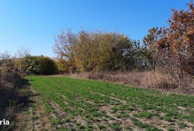 Casă cu 4 camere cu Teren 7720 Mp în Șirna - 5