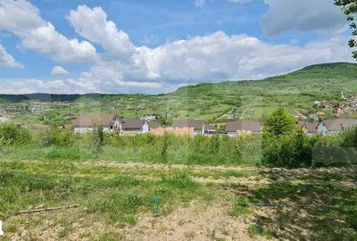 Teren de 1500 mp, în Central - 6