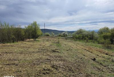 Teren de 6704 mp, în Hărău - 13