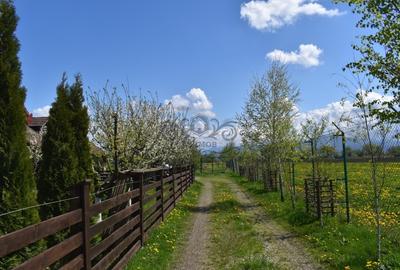 TEREN INTRAVILAN CU CONSTRUCTII AGROTURISTICE SI CABANA CODLEA - 2