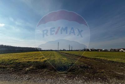 Teren 4,000mp Balotesti / Strada Rozelor - 1