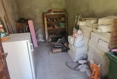 Casă cu Teren 9815 Mp în Borovinești - 2