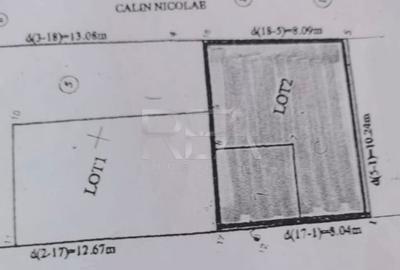 Casa 3 camere Soseaua Alexandriei - 10