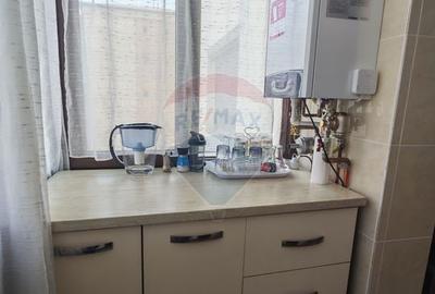 Apartament cu 2 camere decomandat în Brazda lui Novac - 7