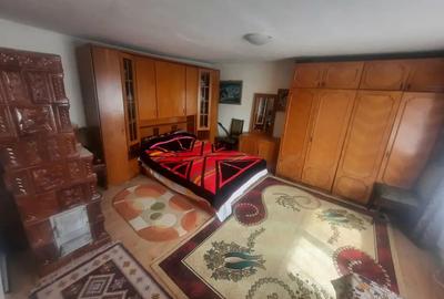 Proprietar vand casa Hemeius - 5