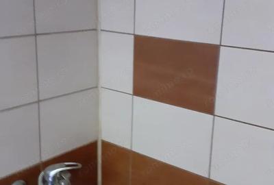 Casă cu 3 camere în Doman - 2