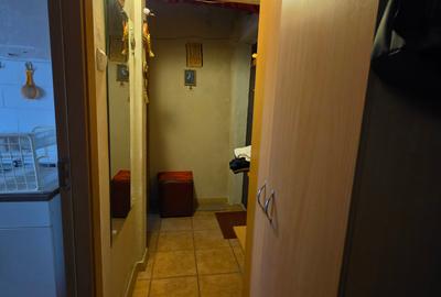 Apartament cu 3 camere de vanzare in zona Drumul Taberei - Chilia Veche - 3